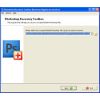 Скриншот к программе Photoshop Recovery Toolbox 2.0.0