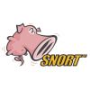 Скриншот к программе Snort 2.9.8.0