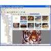 Скриншот к программе XnView Minimal 2.40