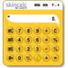 Скриншот к программе SkinCalc 3.5