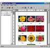 Скриншот к программе PhotoPrint 3.4