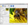 Скриншот к программе PhotoZoom Pro 7.0.6