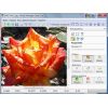 Скриншот к программе Photo Montage Guide Lite 2.2.10