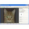 Скриншот к программе Pet Eye Fix Guide 2.2.7