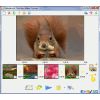 Скриншот к программе SlideShow Maker Freeware 1.1.0