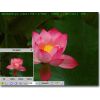 Скриншот к программе FastStone MaxView Portable 3.1