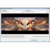 Скриншот к программе Free Video Flip and Rotate 1.1.34.822