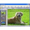 Скриншот к программе Photolightning 4.3